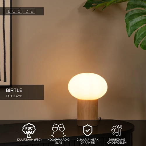 Lucide BIRTLE - Tafellamp - 1xE14 - Opaal - USP